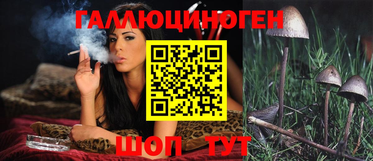 Галлюциногенные грибы прущие грибы  купить наркоту  Приморско-Ахтарск  Вход с VPN 